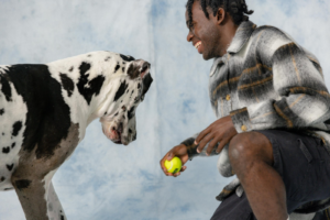 dog and tennis ball