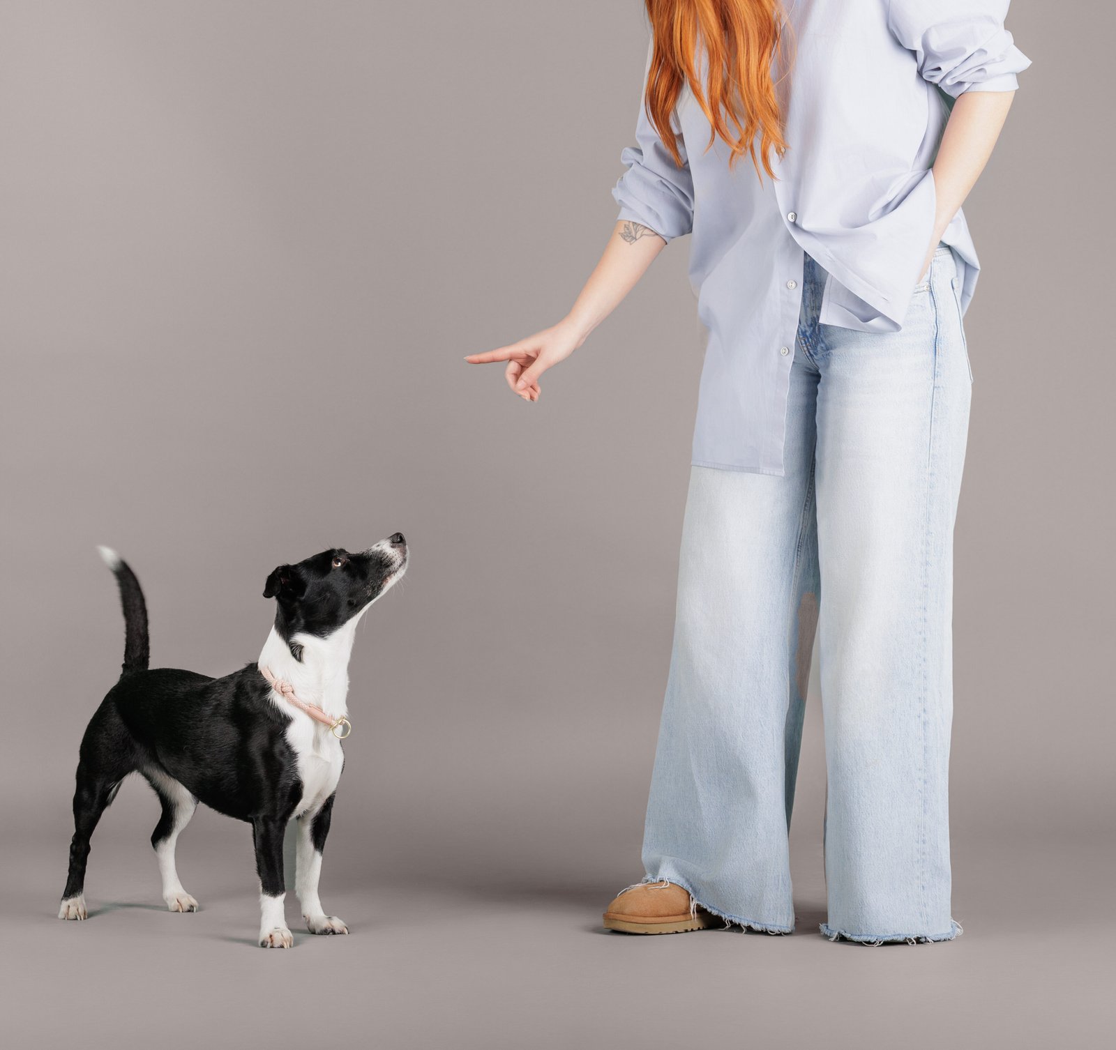 Balancing a Busy Life with Consistent Dog Training